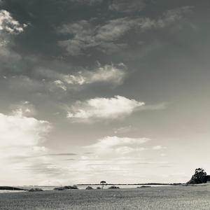 Rimando (feat. Arquitecto & Jaguu)