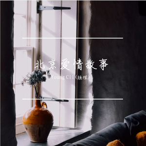 北京爱情故事