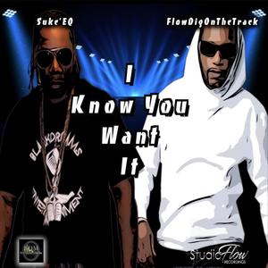 I Know You Want It (feat. FlowDigOnTheTrack)