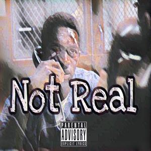 Not Real (feat. Chii & Baby Trelli)