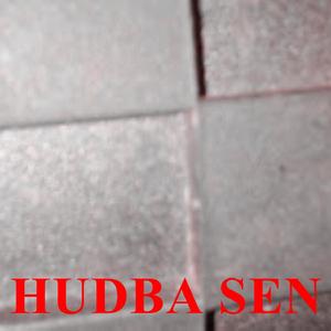 Hudba sen