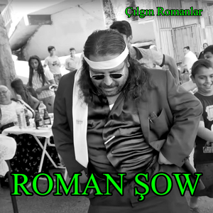 Çılgın Romanlar