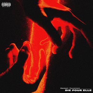 Die Pour Elle (feat. Tsunennemi)