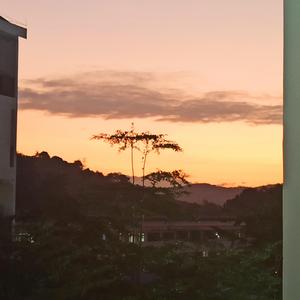 死んだのは私です（任方圆 remix）