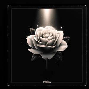 MONATE VERGEHEN