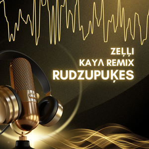 Rudzupuķes (KAYΛ Remix)