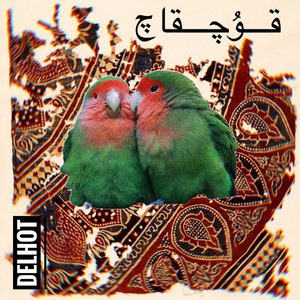 晨鸟（the Birds）