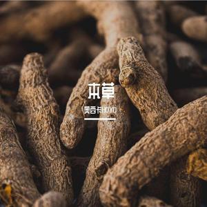 本草（@Prod.SHOBEATZ&FreeZ）