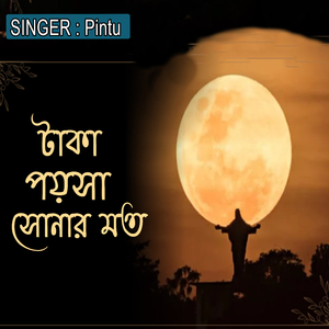 টাকা পয়সা সোনার মত