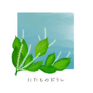 にたものどうし