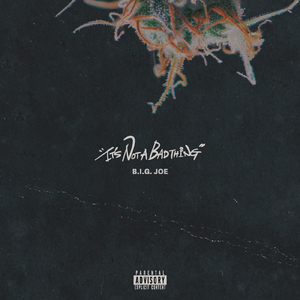 It's Not A Bad Thing (feat. BES)