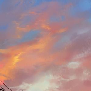 美しい地球を知る者よ