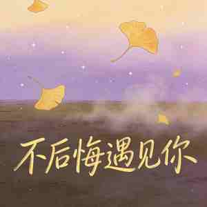 不后悔遇见你