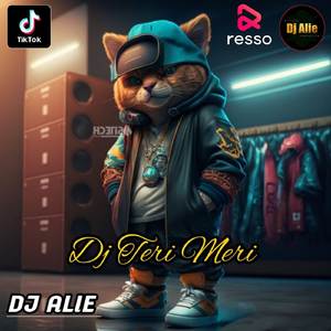 DJ TERI MERI FULL BASS