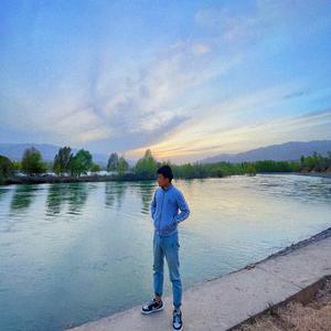 蝶儿总在空中飞