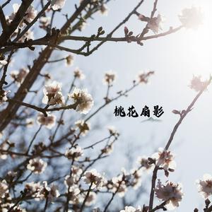 天鹰仙 (古筝)