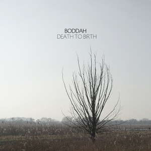 Death To Birth (Vitor Munhoz, Felipe Santini, Daniel Antoniassi Remix)