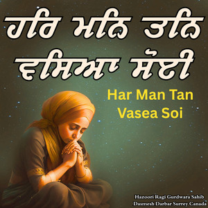 Har Man Tan Vasea Soi