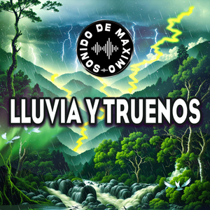 Delicia de Día Lluvioso