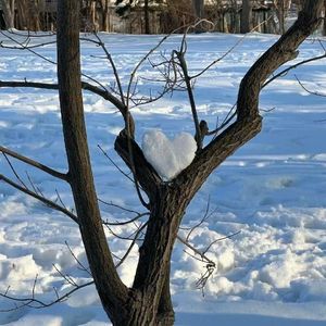 乖乖，今天的你也辛苦了