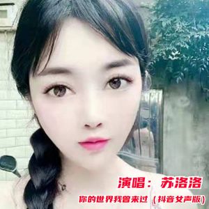 你的世界我曾来过 (抖音女声版)