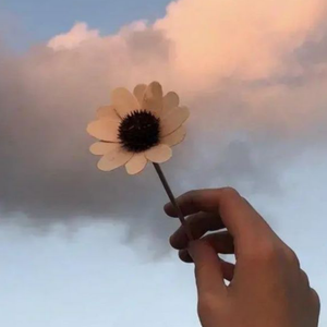 晨曦微光的希望