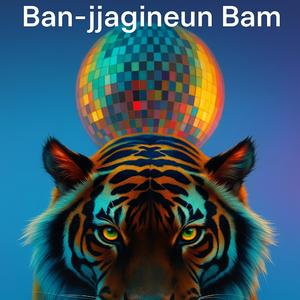 Banjjagineun Bam (Radio Edit)