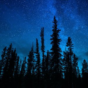 溯 (Reverse)（前奏纯享版）