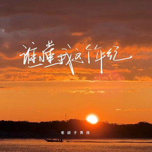 谁懂我这个年纪