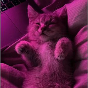 残雪消融hiphop type beat