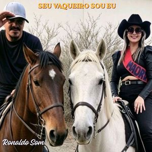 Seu Vaqueiro Sou Eu