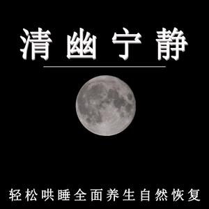 月下哄眠曲（睡觉纯音乐）
