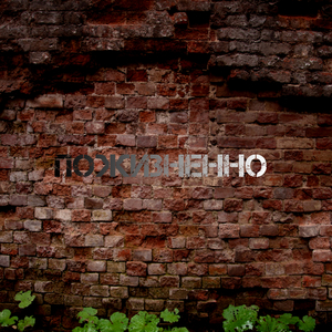 Пожизненно