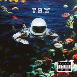 TNW