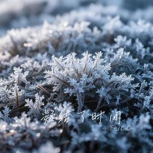 凝结了时间 (Cover 张岳)