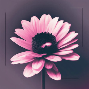 Ameliorate