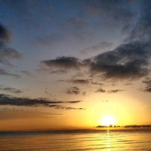 我想回到我们从前纯真的样子