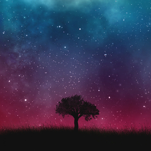 Desistir