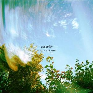 短暂的人只停留在夏季