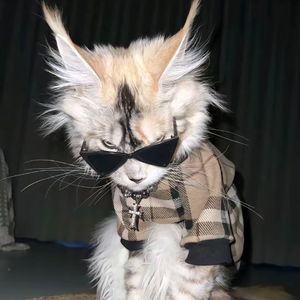 当光照下来（prod.by marrow）