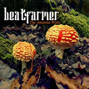 Amanita Waltz