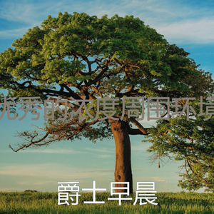 抚慰的焦点回忆