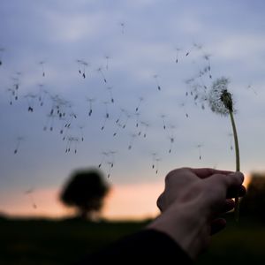 风的足迹（纯音乐）