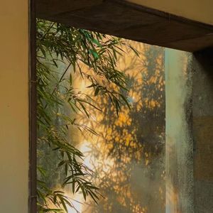 此去半生（抖音温柔版）