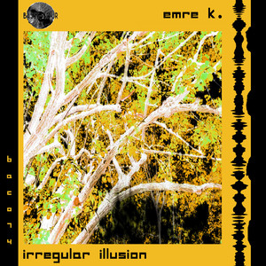 Irregularity (Original Mix)