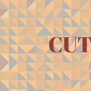 Constellations Snapshots