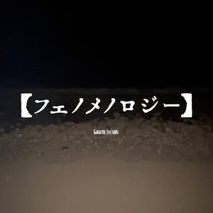 フェノメノロジー