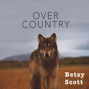 Over Country (feat. Barry Phillips, Art Alm & Keith Greeninger)