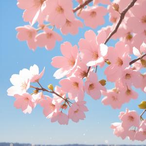 桜が散る前に