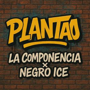Plantao